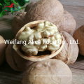 Wholesale Healthy Snack Export Chinese Walnut Paperture Shell Walnut